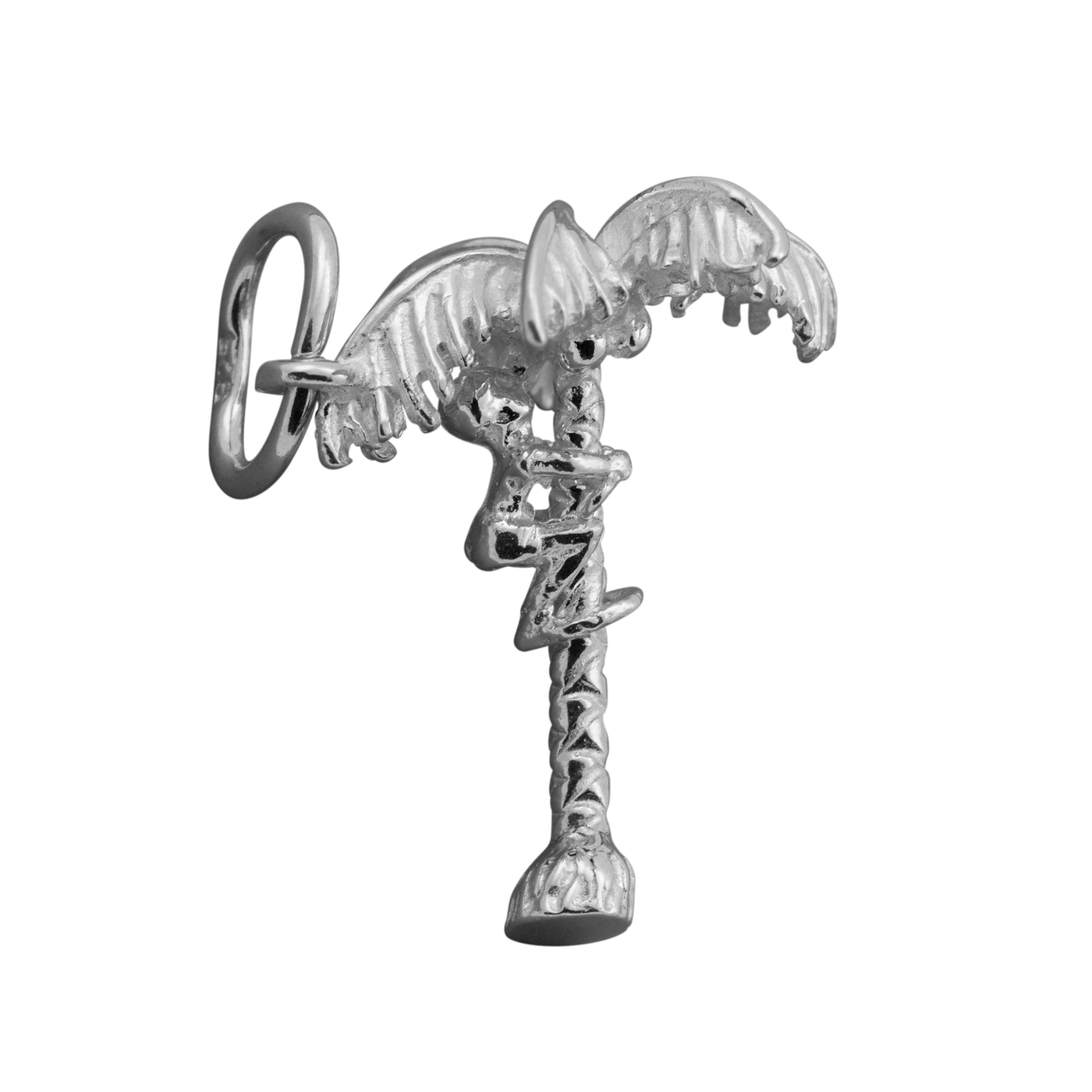 Silver Small Coconut Palm Tree with Man Climbing