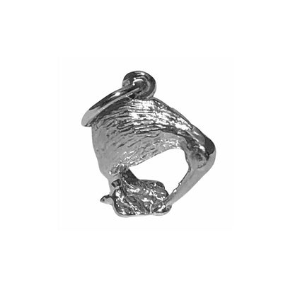 Silver charms NZ Kiwi bird